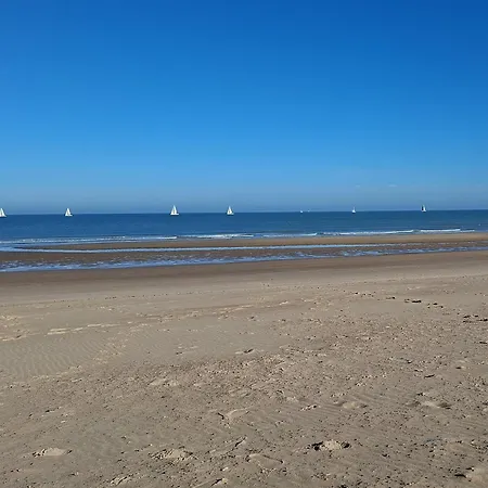 O'sea *
